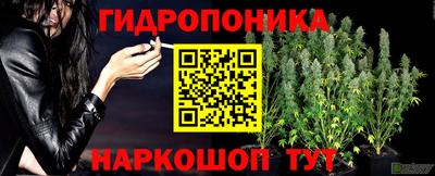 марихуана Краснознаменск