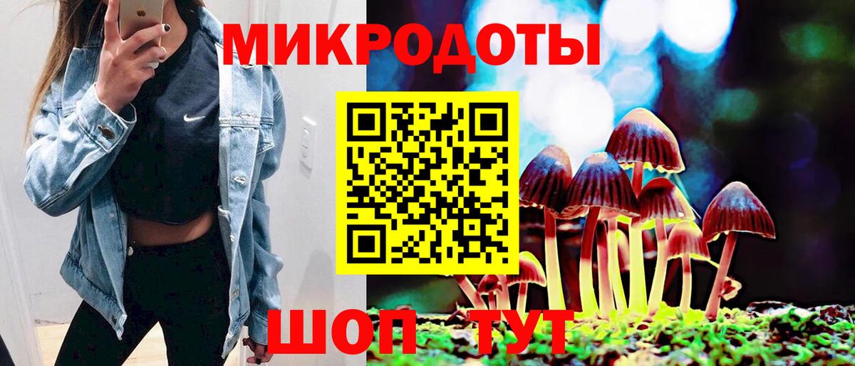 Псилоцибиновые грибы Cubensis Звенигород
