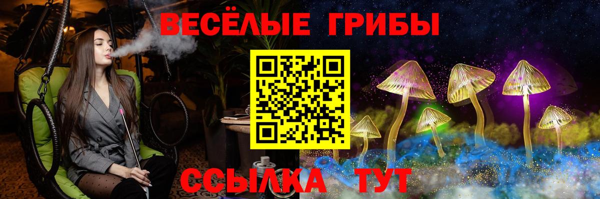 Звенигород  Галлюциногенные грибы Psilocybe  купить наркоту  Вход с VPN 